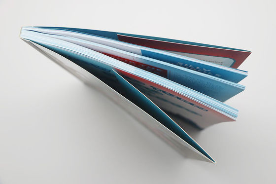 Financial Bestseller Softcover CMYK Full Color Spot UV Book Printing Service